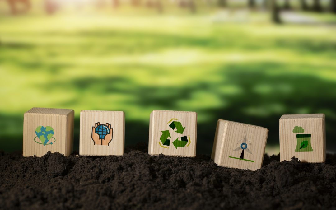 Comment mettre en place une stratégie de développement RSE ?